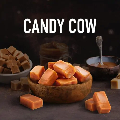 131676791_318449632626289_5746430272644373290_n 131676791_318449632626289_5746430272644373290_n