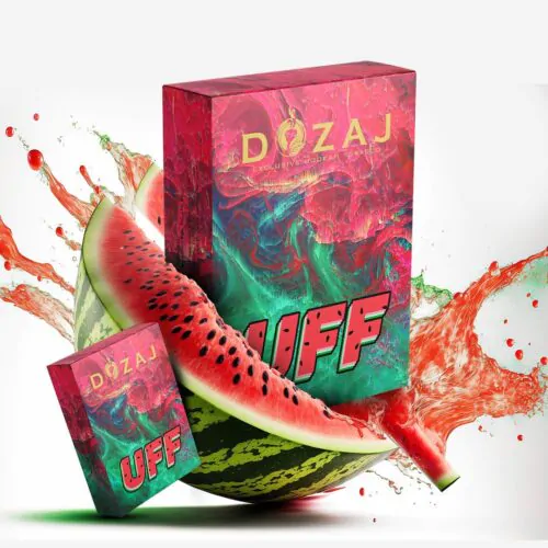 400046262_1022677008968899_7357319198722637509_n